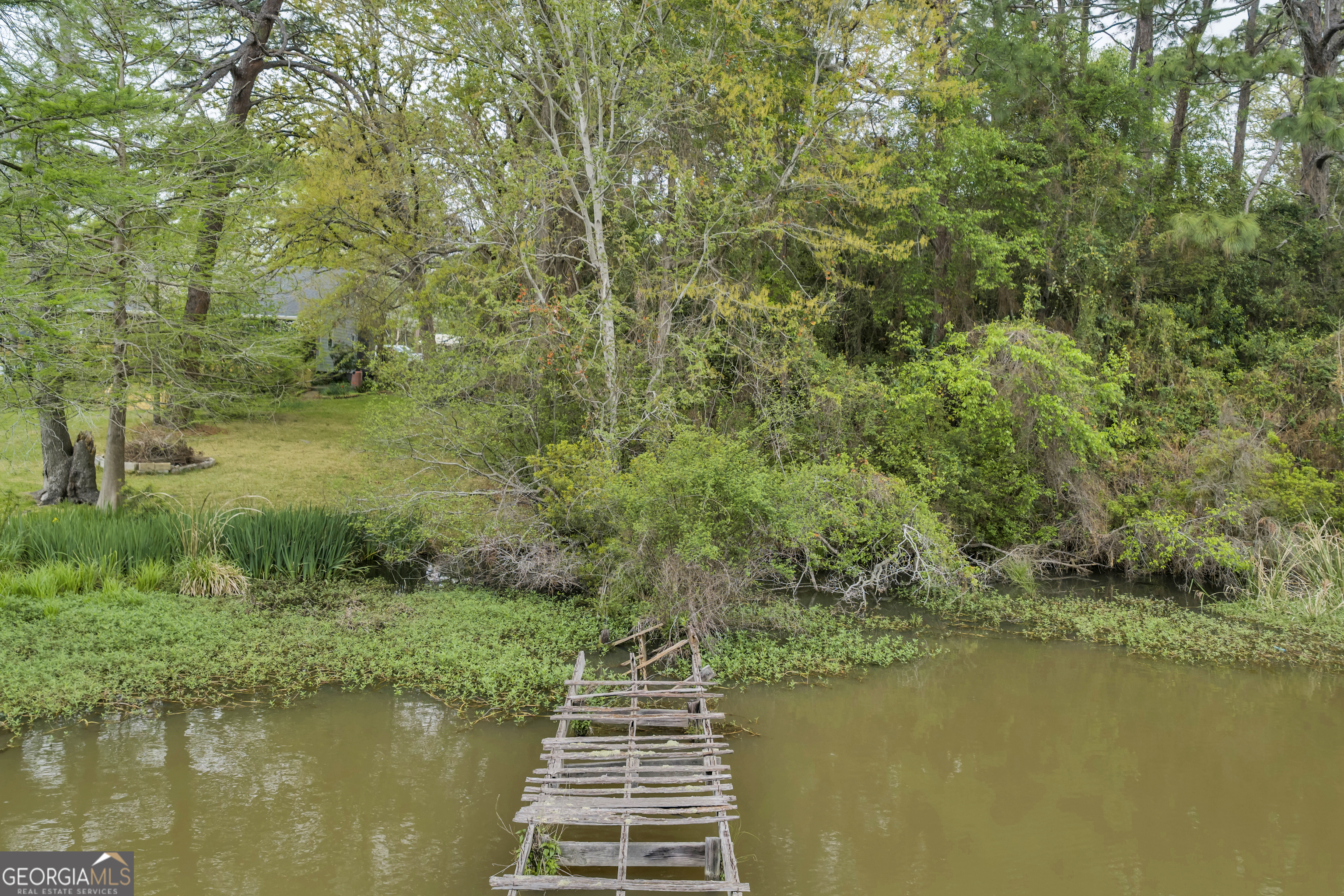 728 Cork Ferry Road Cordele, GA 31015 - Photo 6 of 12 a view of lake and yard