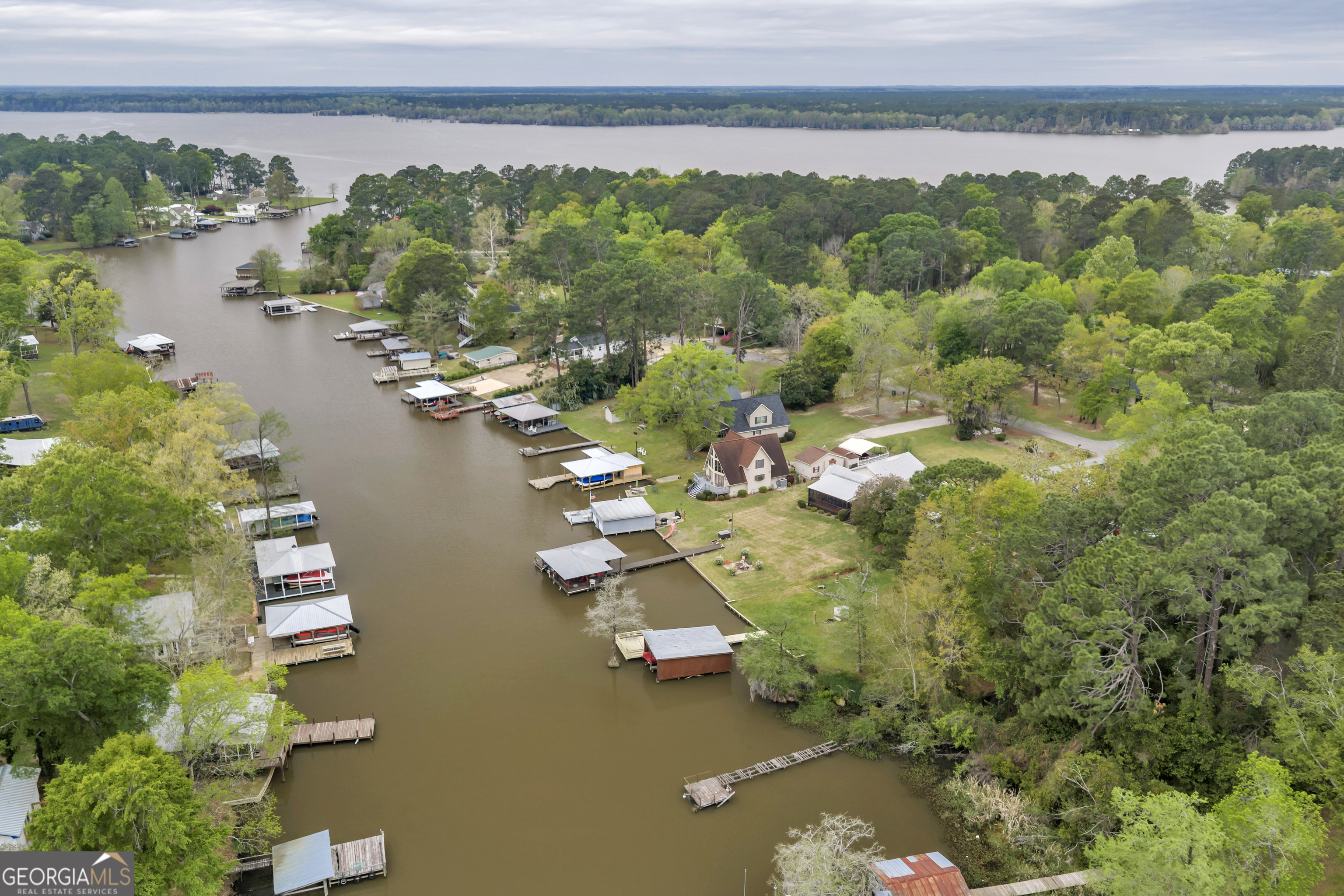 728 Cork Ferry Road Cordele, GA 31015 - Photo 10 of 12 a view of a lake with a mountain in the background