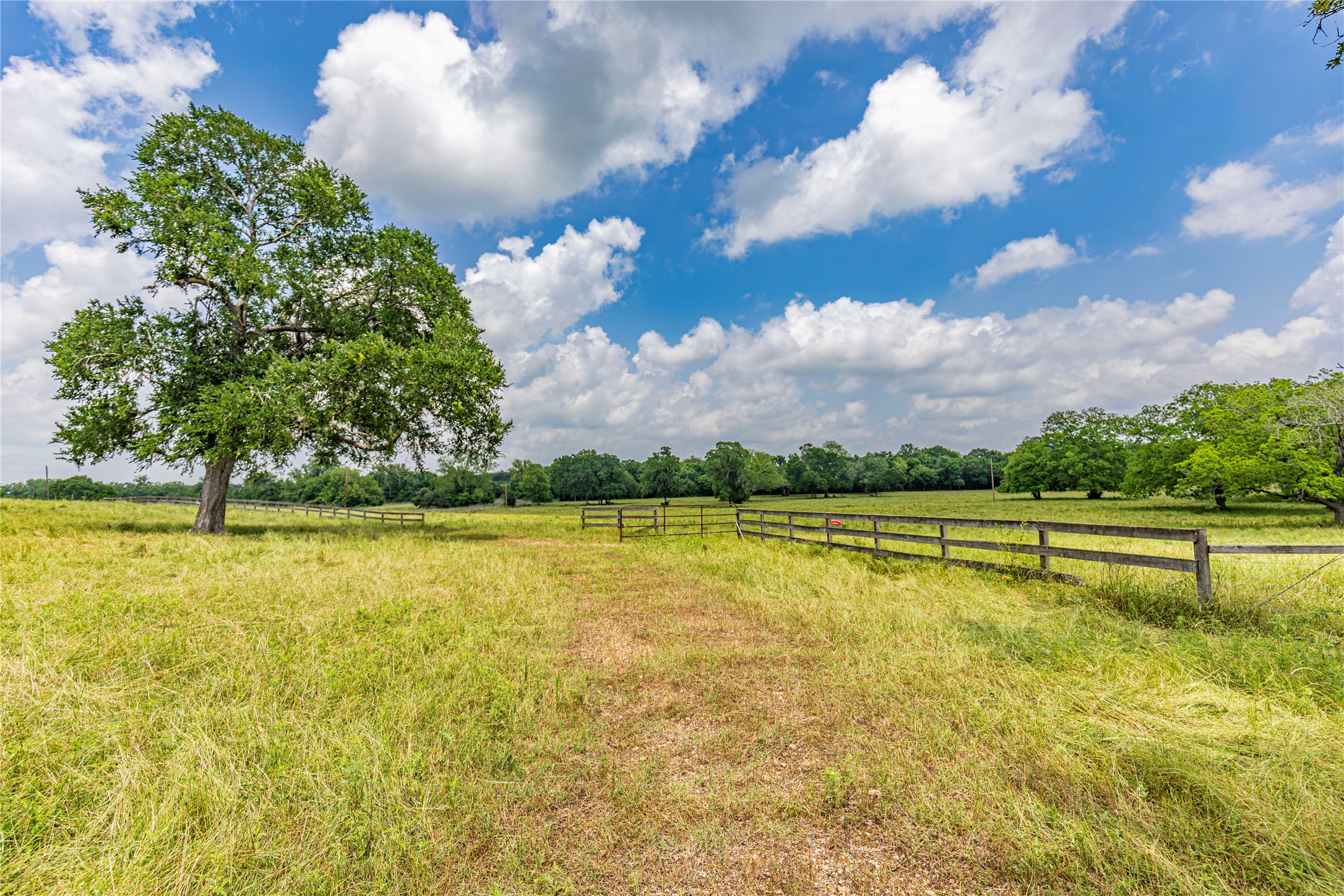3148 Mill Creek Ranch Road Bellville, TX 77418 - Photo 6 of 13