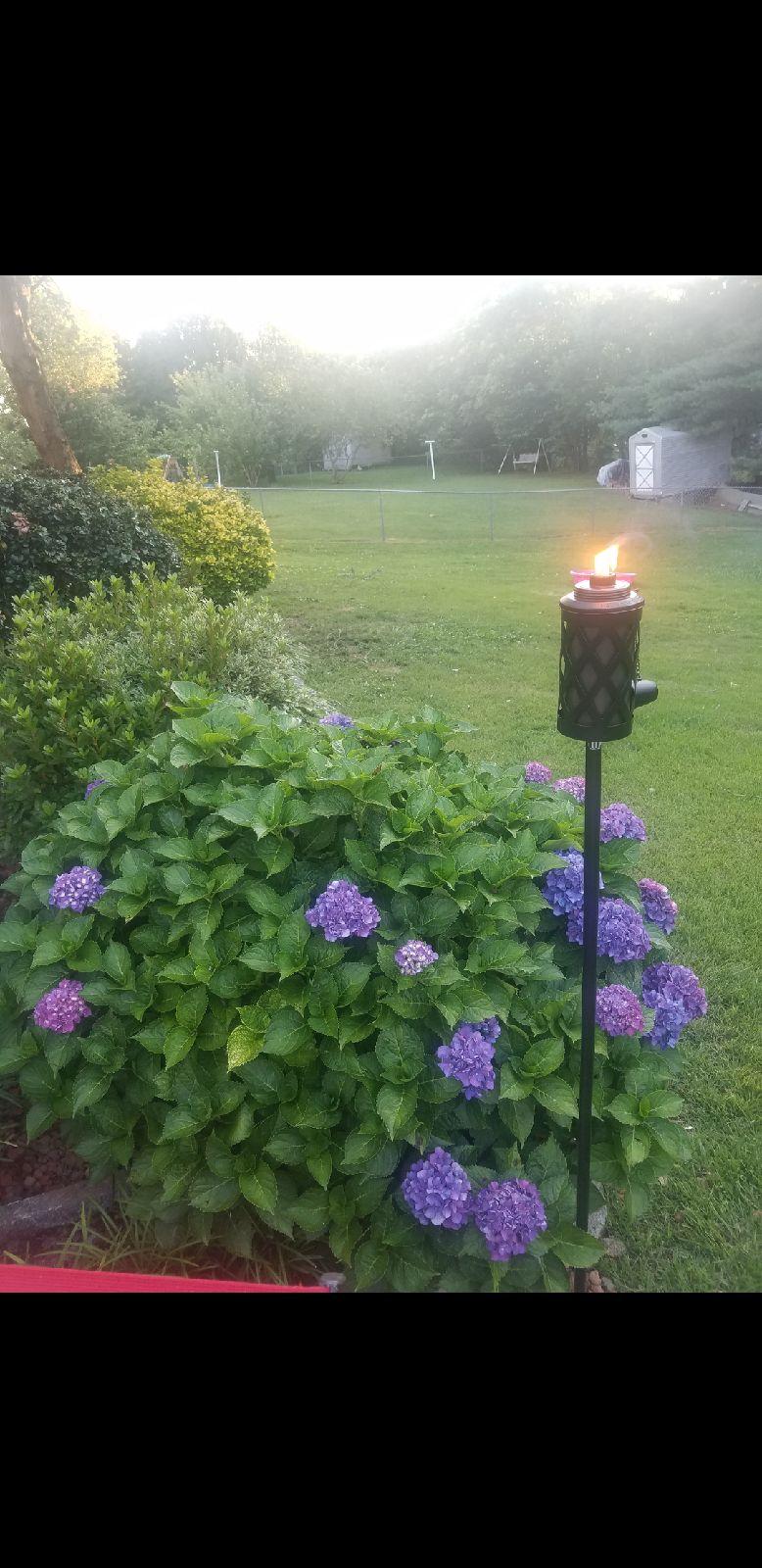 5423 Twilight Road Roanoke, VA 24019 - Photo 5 of 23 a view of yard