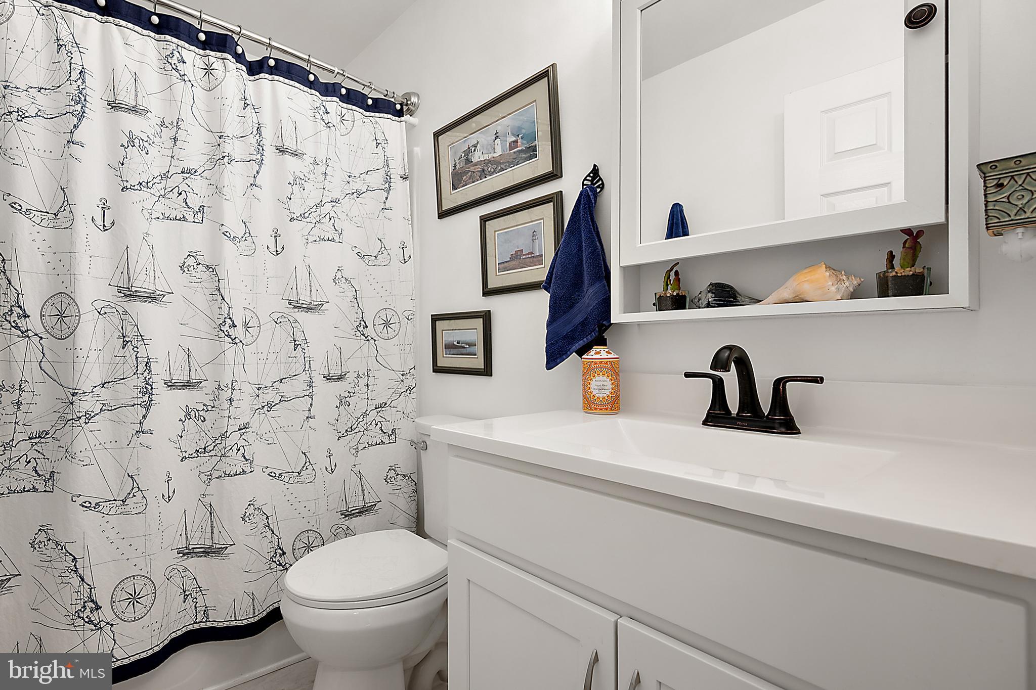 6098 Tarry Town Road Salisbury, MD 21801 - Photo 46 of 60 a bathroom with a sink and a toilet