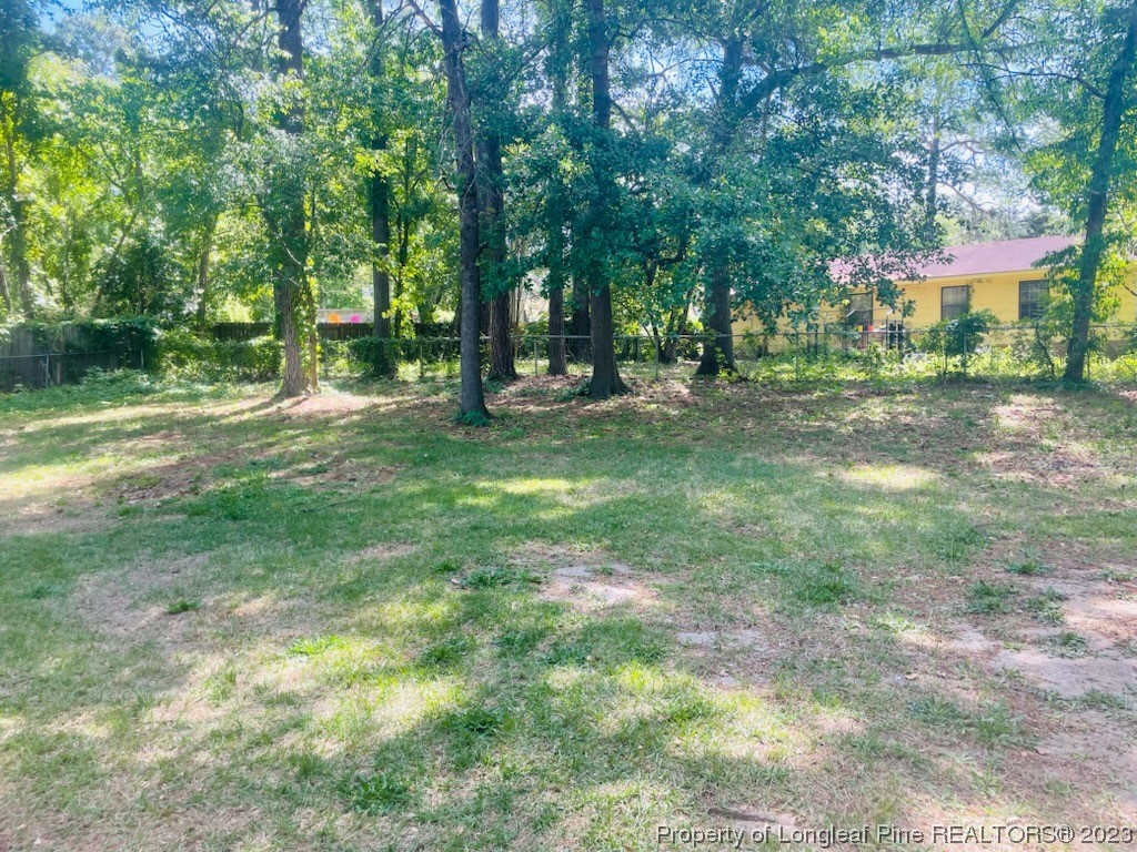 6442 Green Meadow Road Fayetteville, NC 28304 - Photo 44 of 48 a view of park with trees