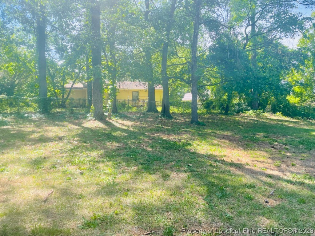 6442 Green Meadow Road Fayetteville, NC 28304 - Photo 45 of 48 a view of a yard with a tree