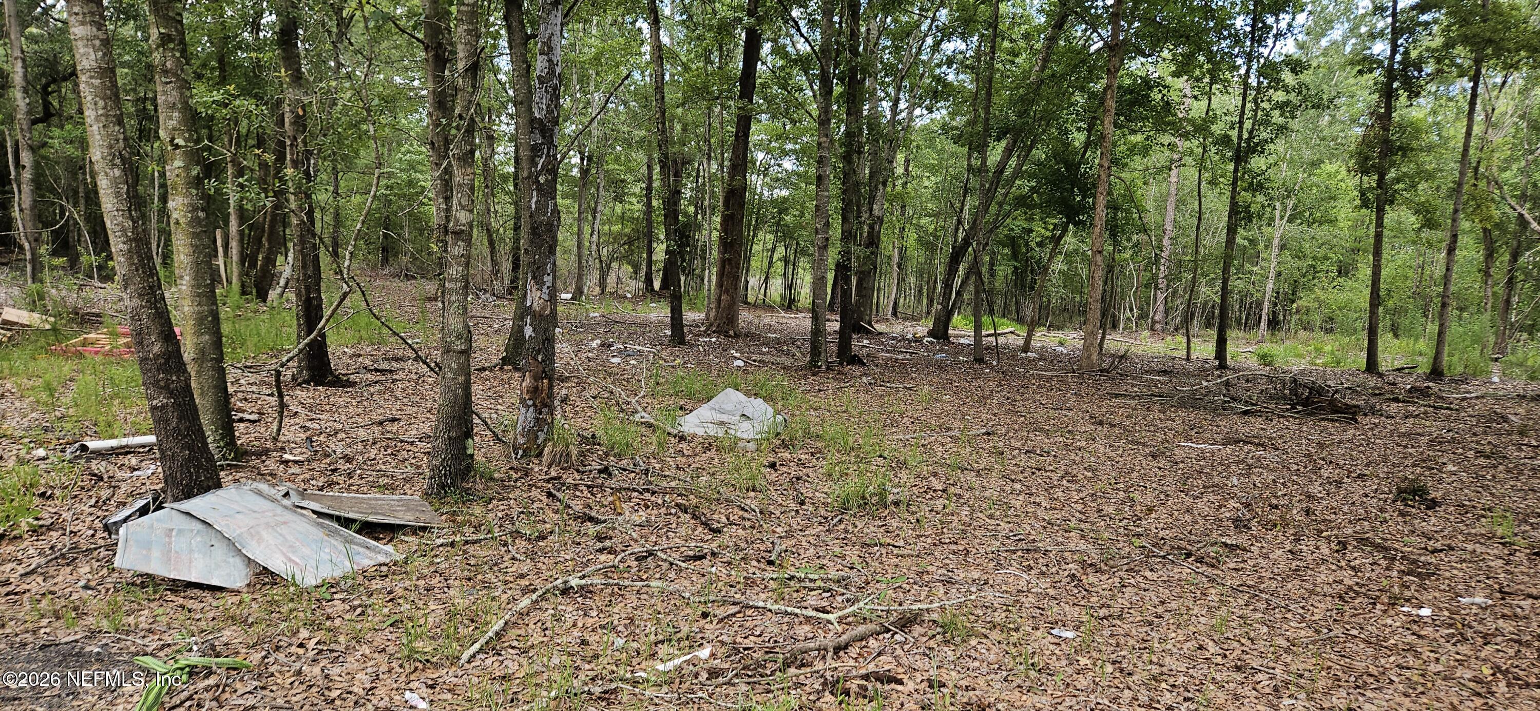 5363 Kilcrease Road Jacksonville, FL 32234 - Photo 22 of 29 a backyard of a house with lots of green space