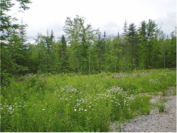 0 Royalston Corner Road Concord, VT 05824 - Photo 1 of 1