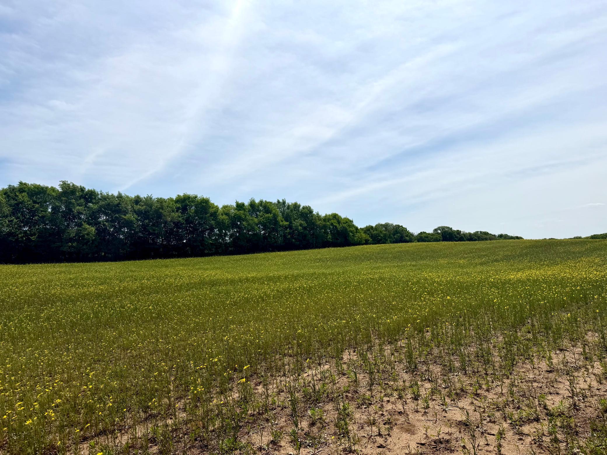 Tbd-10-ac 87th Street Southeast Becker, MN 55308 - Photo 19 of 23