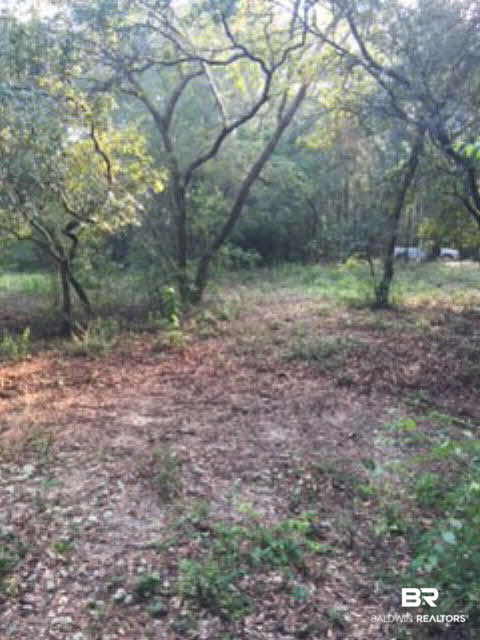 0 Wayburn Road Seminole, AL 36574 - Photo 4 of 8
