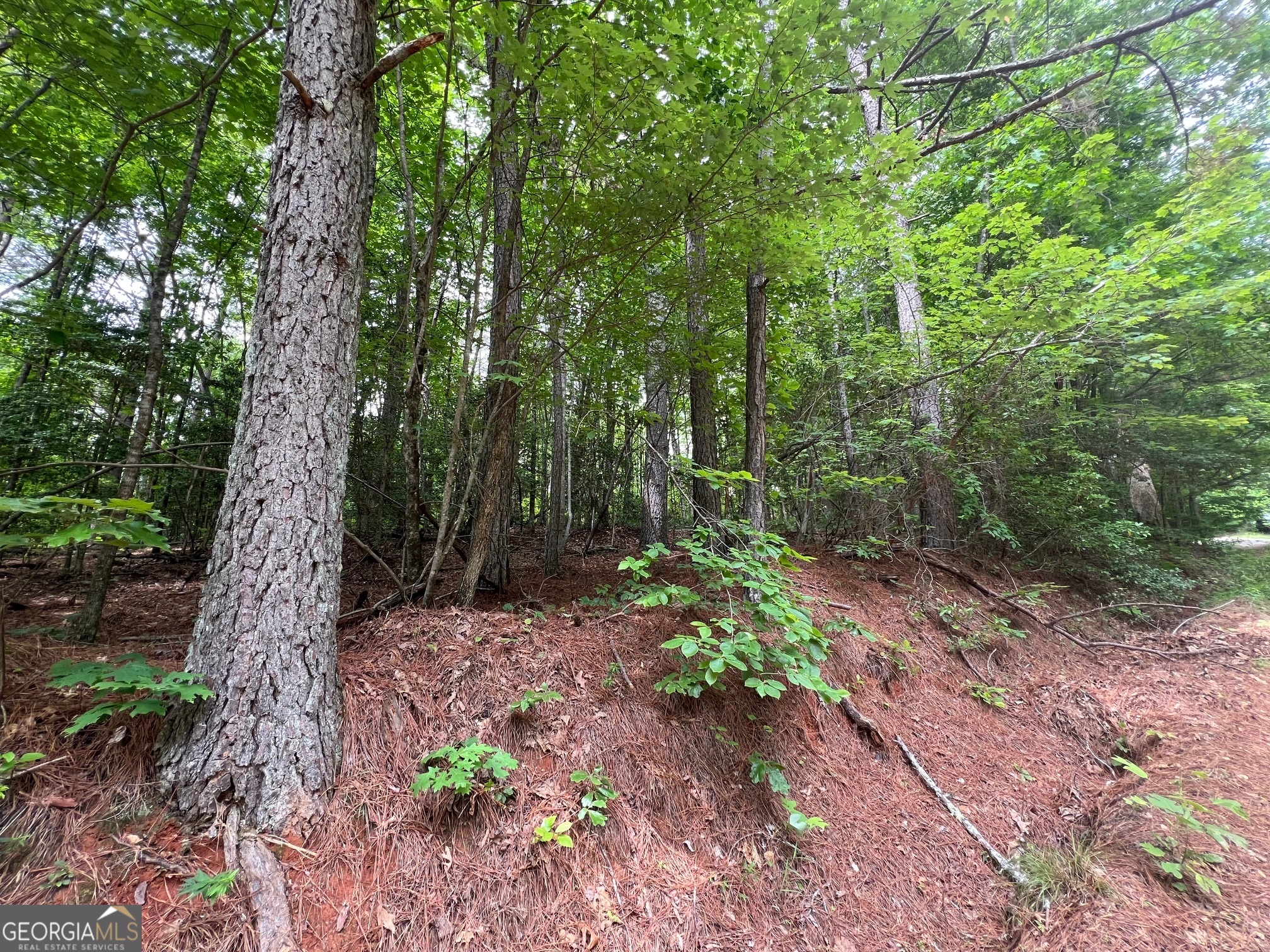 0 Mr Bert Road Hiawassee, GA 30546 - Photo 11 of 22