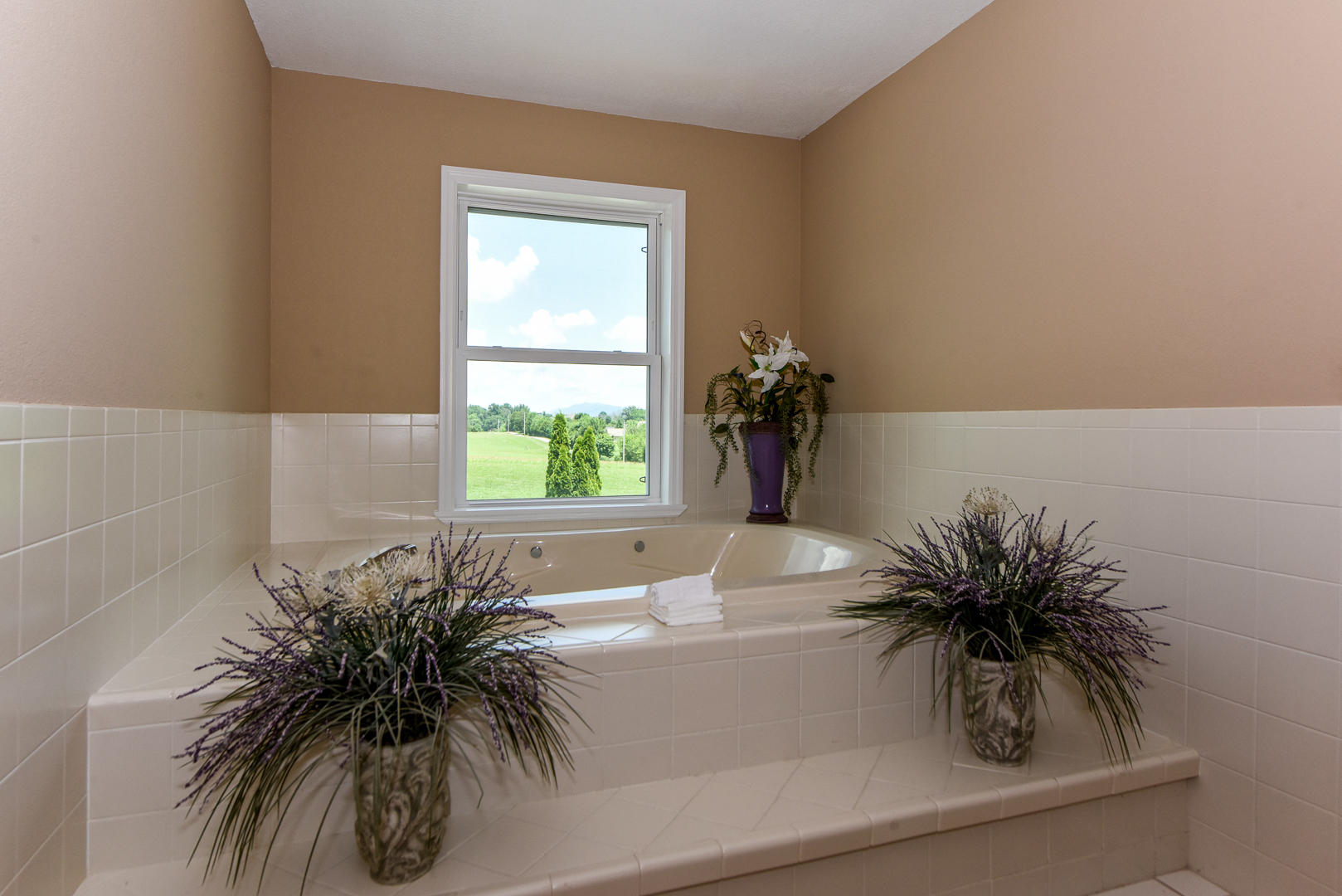 3230 Sam James Road Maryville, TN 37803 - Photo 20 of 37 WHIRLPOOL TUB