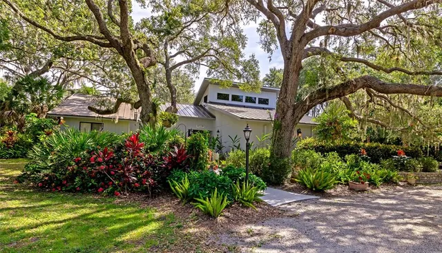 a view of a garden with large trees
