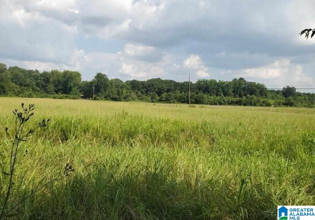 460 Fox Valley Farms Road, Unit 3 Alabaster, AL 35114 - Photo 12 of 13
