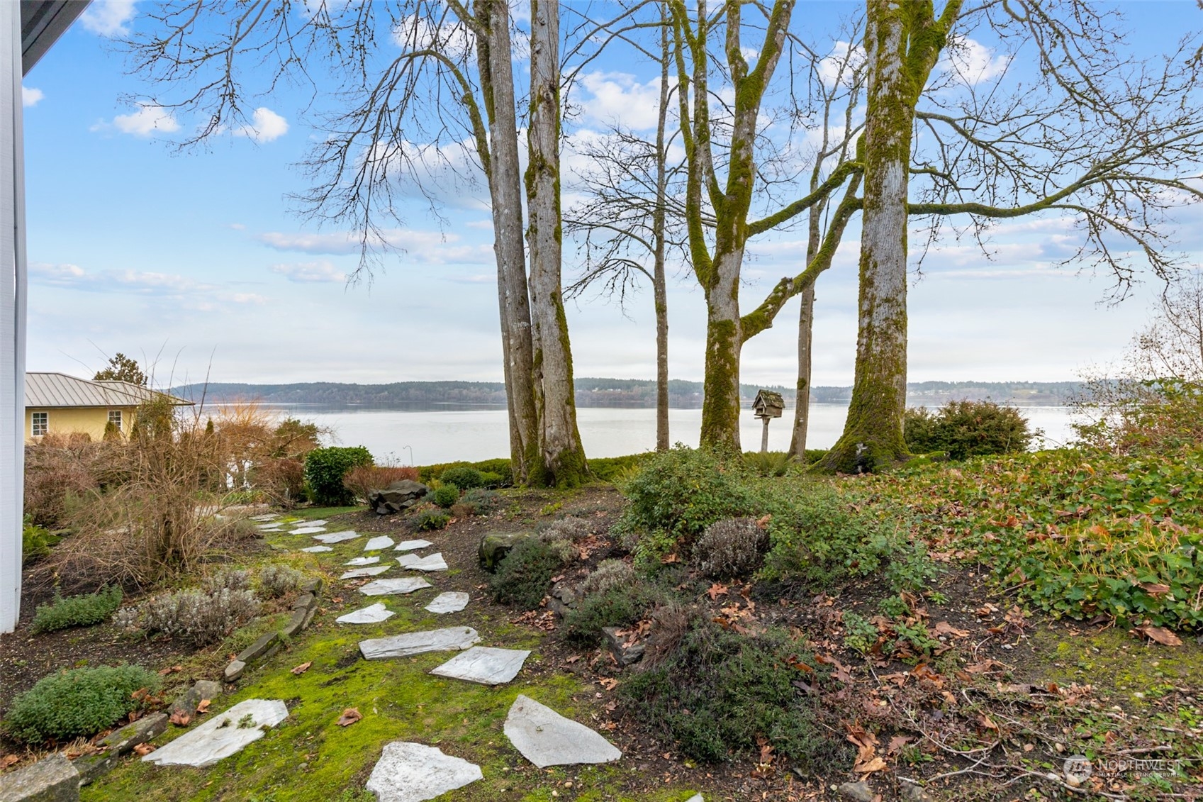 9942 Johnson Point Road Northeast Olympia, WA 98516 - Photo 30 of 34 a view of a trees with outside area