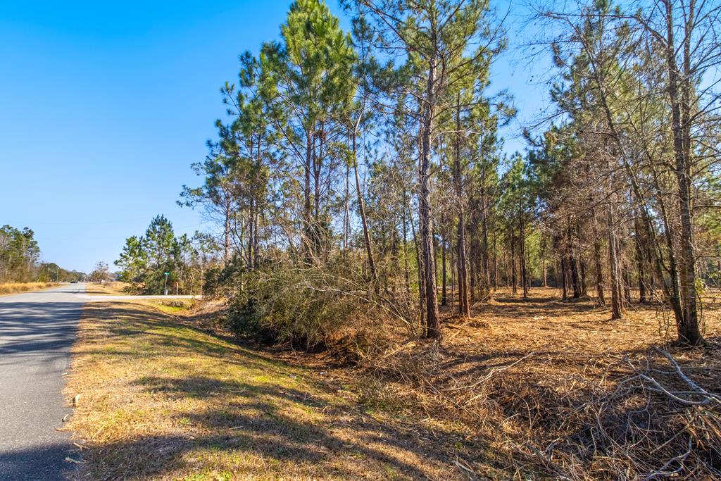 Tbd Luke Ford Road Wewahitchka, FL 32465 - Photo 11 of 32