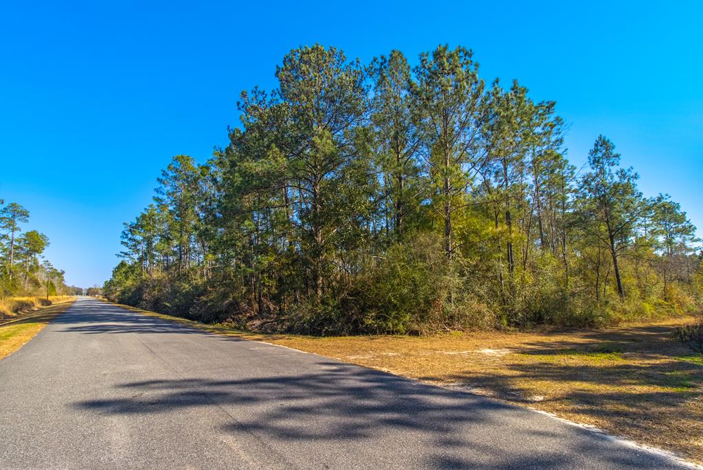 Tbd Luke Ford Road Wewahitchka, FL 32465 - Photo 12 of 32