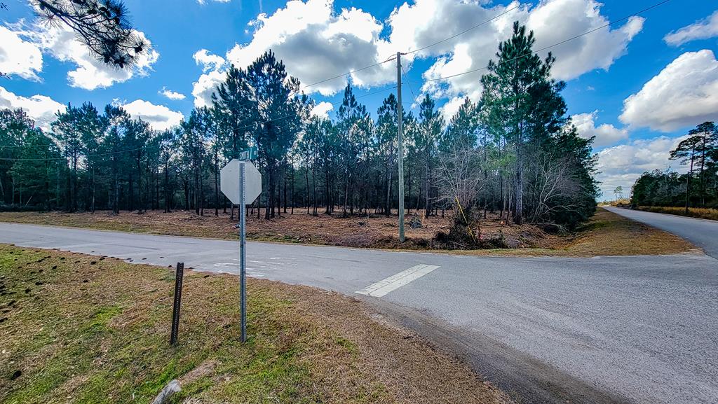 Tbd Luke Ford Road Wewahitchka, FL 32465 - Photo 13 of 32