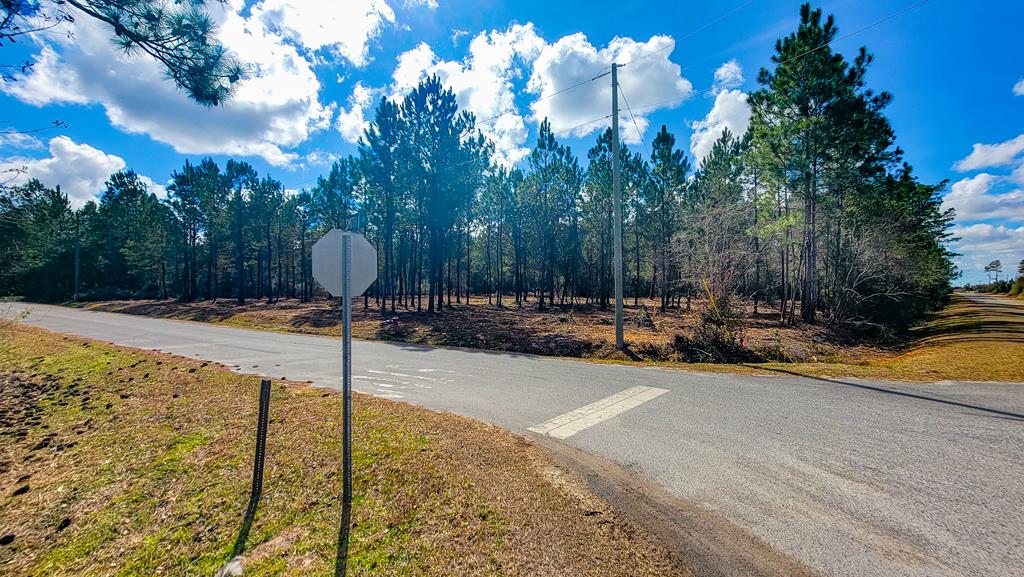 Tbd Luke Ford Road Wewahitchka, FL 32465 - Photo 14 of 32