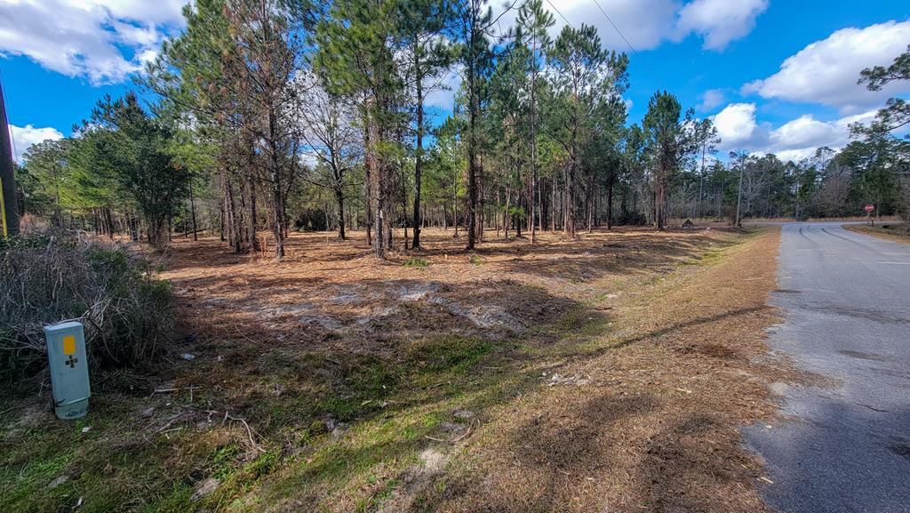 Tbd Luke Ford Road Wewahitchka, FL 32465 - Photo 15 of 32