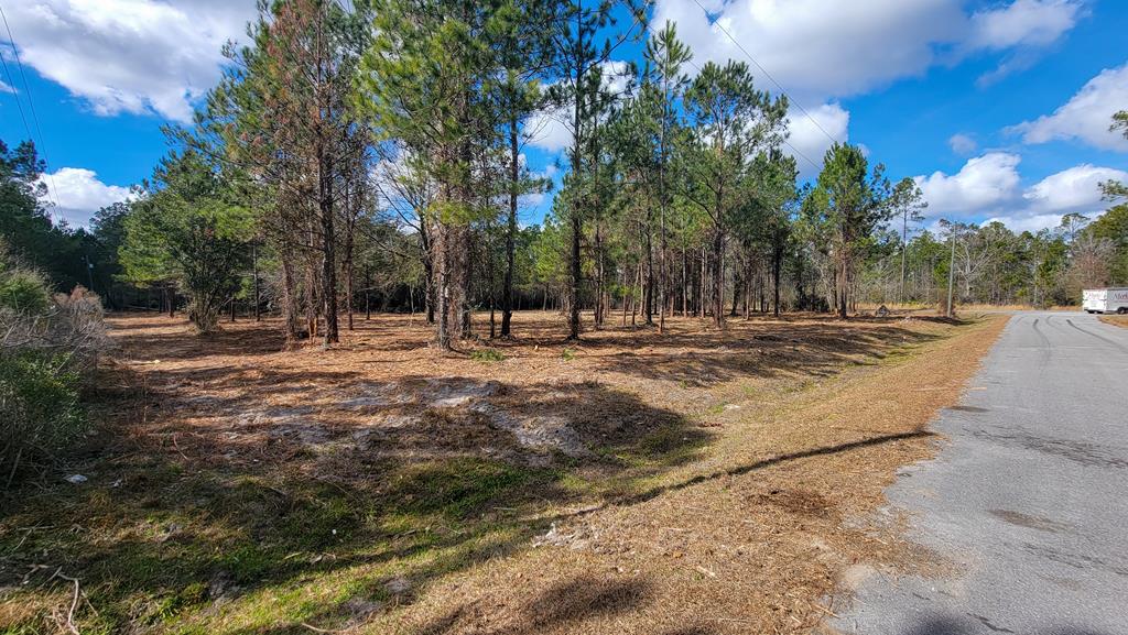 Tbd Luke Ford Road Wewahitchka, FL 32465 - Photo 16 of 32