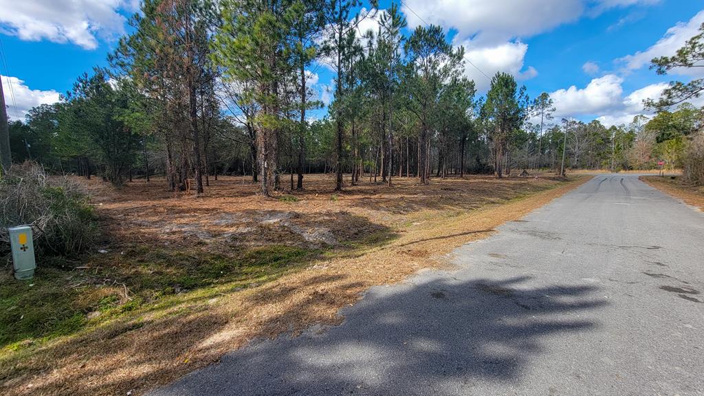 Tbd Luke Ford Road Wewahitchka, FL 32465 - Photo 17 of 32