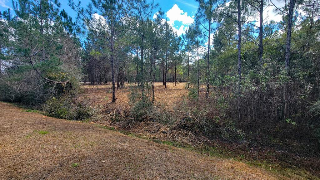 Tbd Luke Ford Road Wewahitchka, FL 32465 - Photo 18 of 32