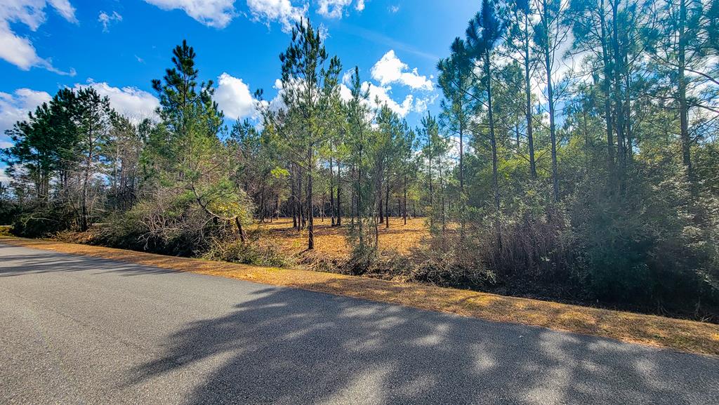 Tbd Luke Ford Road Wewahitchka, FL 32465 - Photo 19 of 32