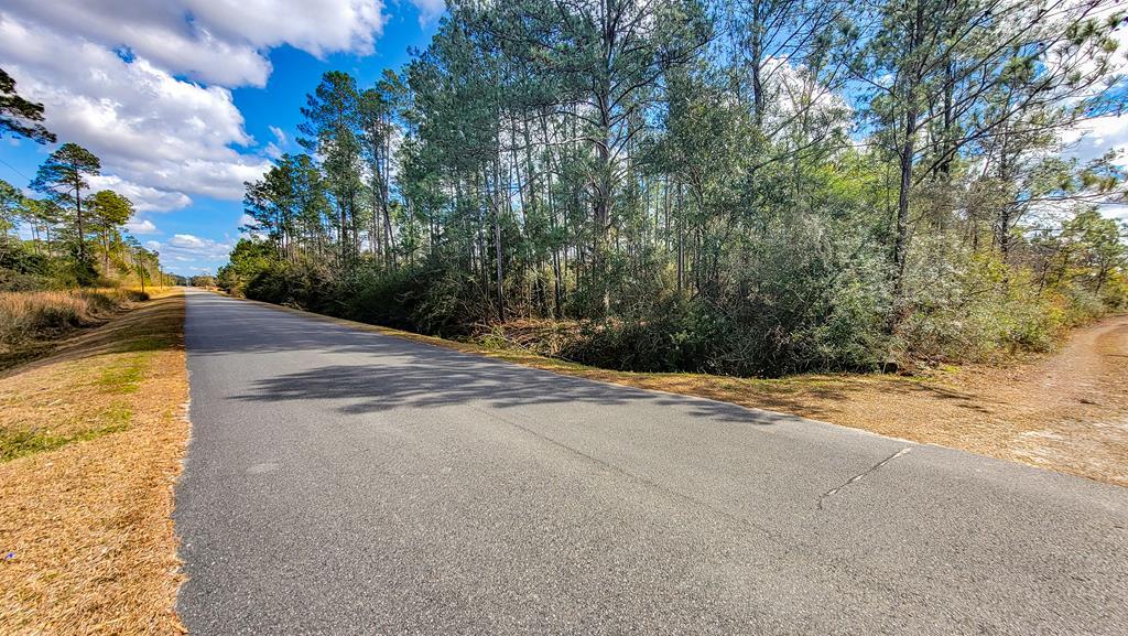 Tbd Luke Ford Road Wewahitchka, FL 32465 - Photo 20 of 32