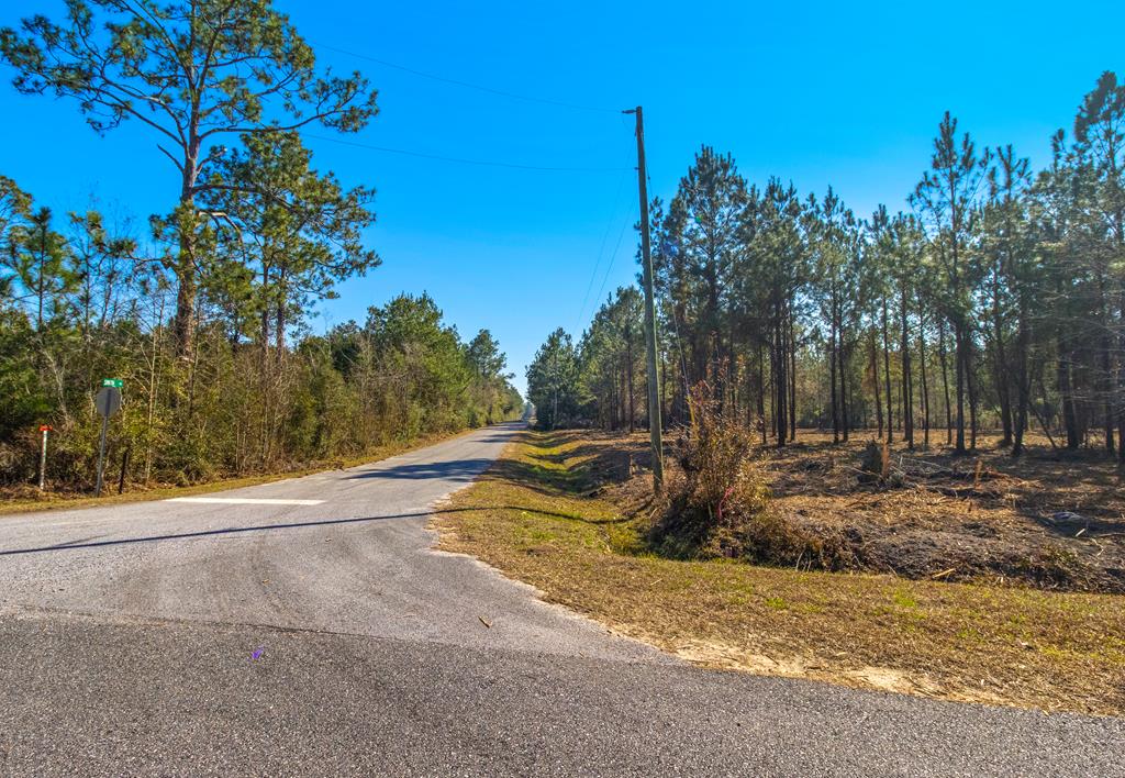 Tbd Luke Ford Road Wewahitchka, FL 32465 - Photo 2 of 32