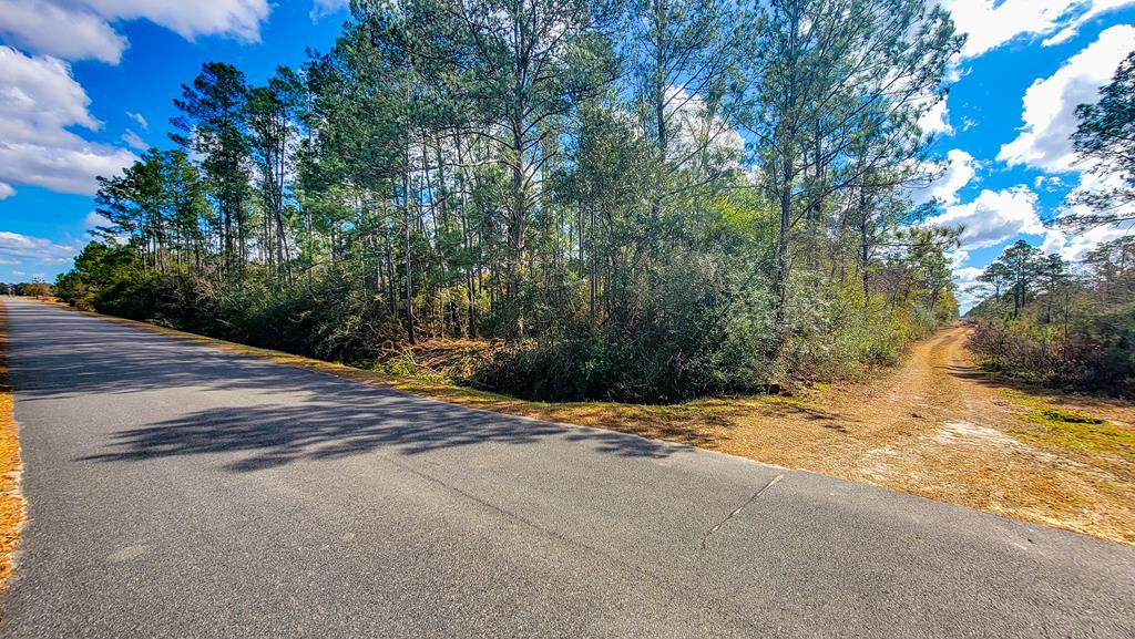 Tbd Luke Ford Road Wewahitchka, FL 32465 - Photo 21 of 32