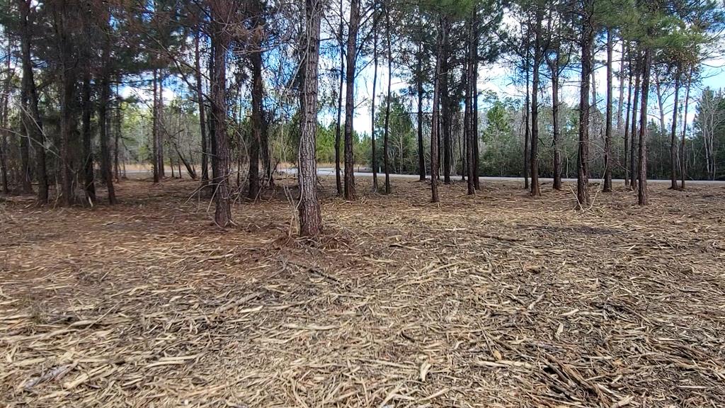 Tbd Luke Ford Road Wewahitchka, FL 32465 - Photo 22 of 32