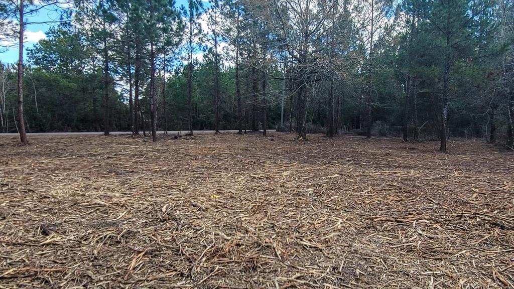 Tbd Luke Ford Road Wewahitchka, FL 32465 - Photo 23 of 32