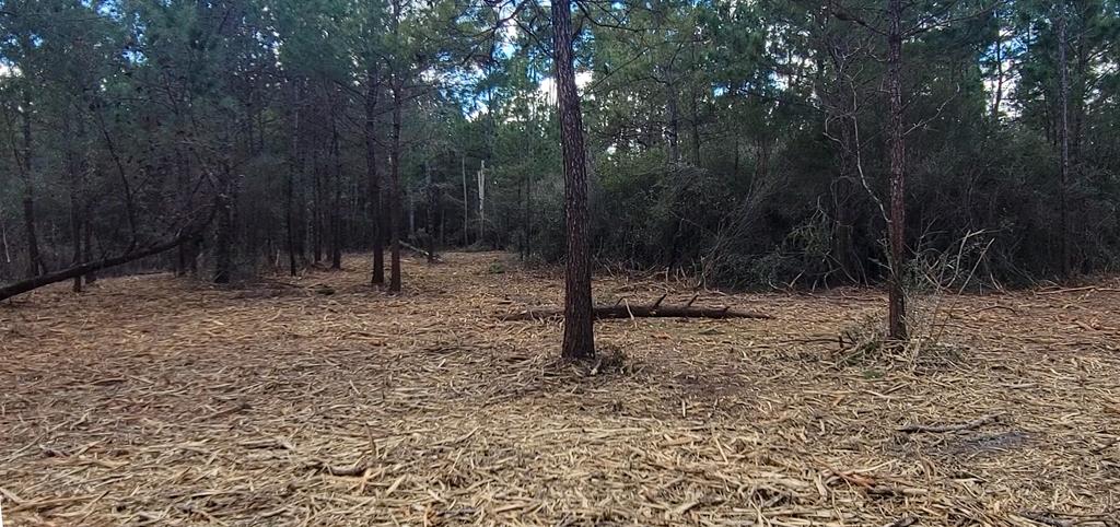 Tbd Luke Ford Road Wewahitchka, FL 32465 - Photo 24 of 32