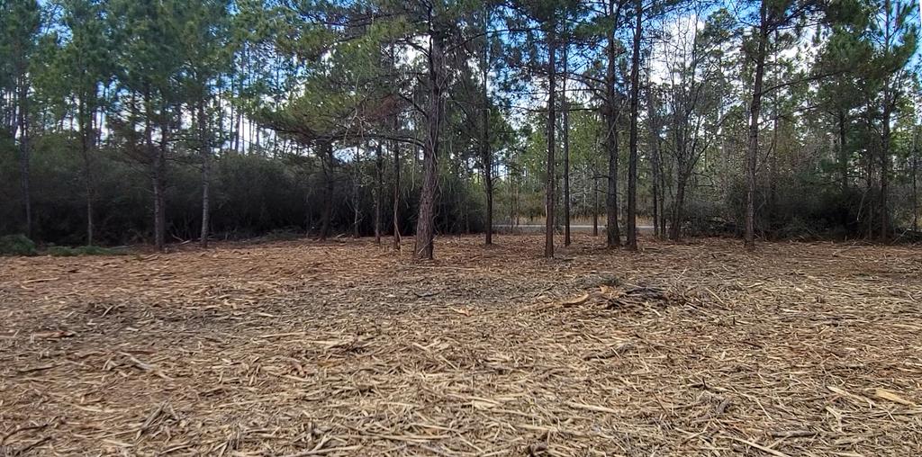 Tbd Luke Ford Road Wewahitchka, FL 32465 - Photo 25 of 32