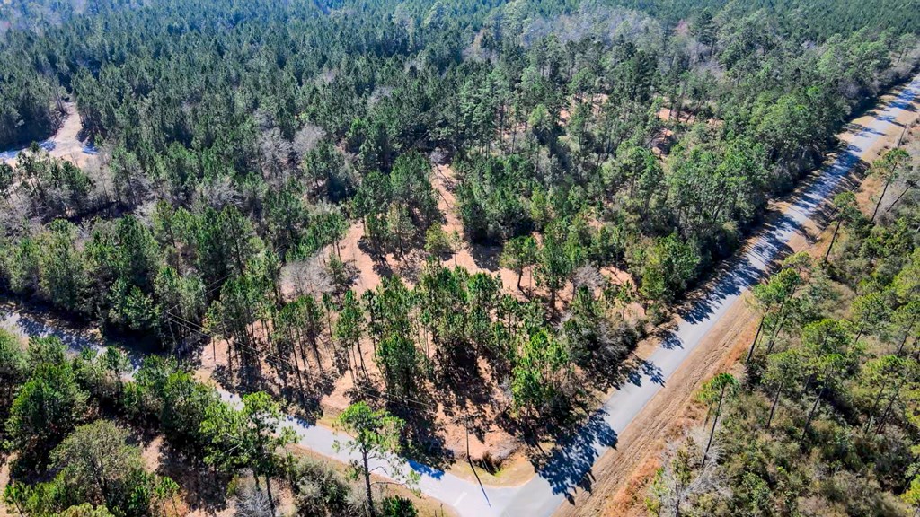 Tbd Luke Ford Road Wewahitchka, FL 32465 - Photo 3 of 32