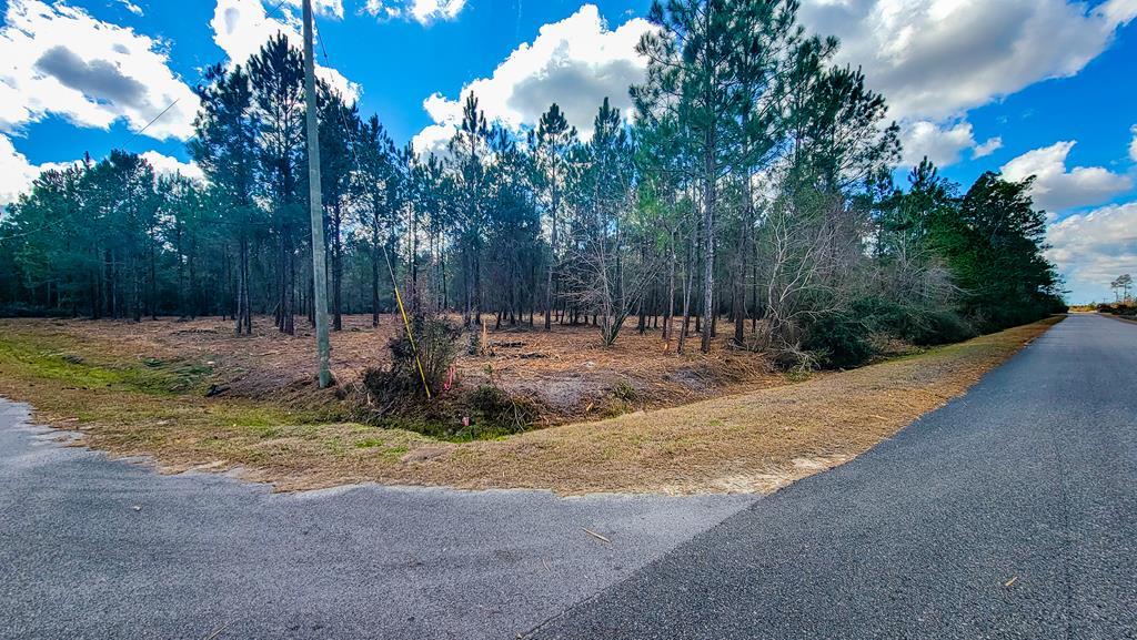 Tbd Luke Ford Road Wewahitchka, FL 32465 - Photo 32 of 32