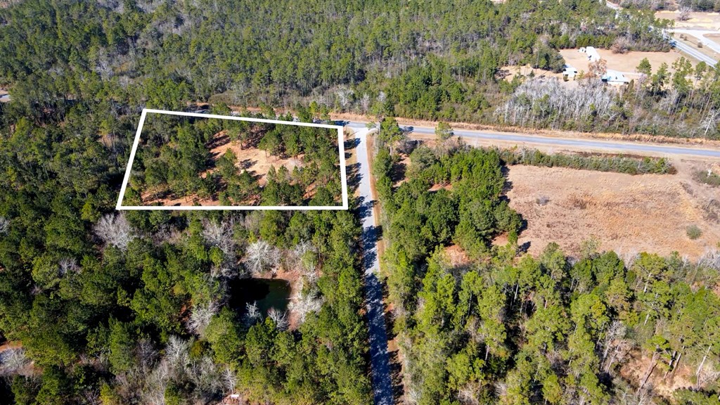 Tbd Luke Ford Road Wewahitchka, FL 32465 - Photo 4 of 32