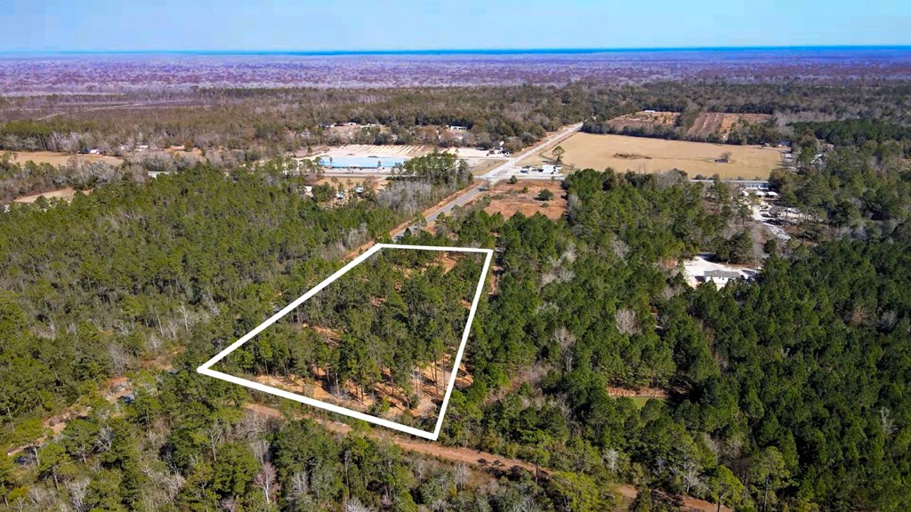 Tbd Luke Ford Road Wewahitchka, FL 32465 - Photo 5 of 32