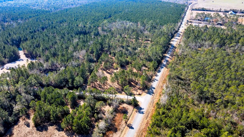Tbd Luke Ford Road Wewahitchka, FL 32465 - Photo 6 of 32