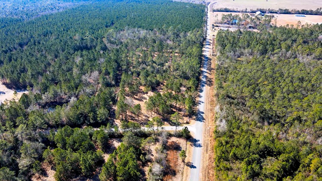 Tbd Luke Ford Road Wewahitchka, FL 32465 - Photo 7 of 32