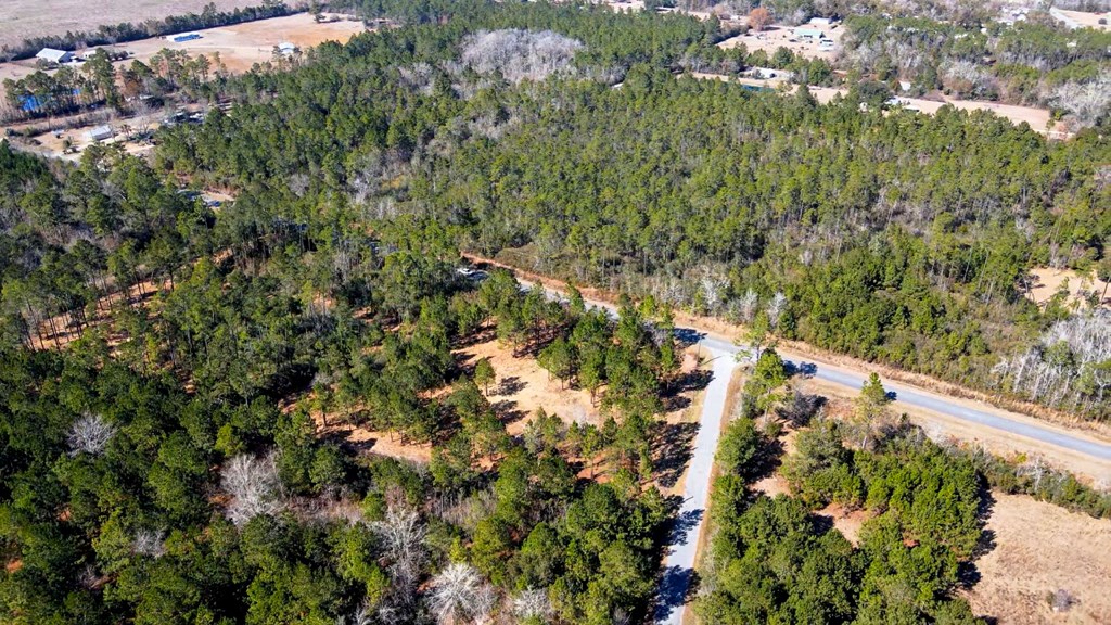 Tbd Luke Ford Road Wewahitchka, FL 32465 - Photo 8 of 32