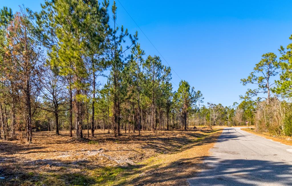 Tbd Luke Ford Road Wewahitchka, FL 32465 - Photo 9 of 32