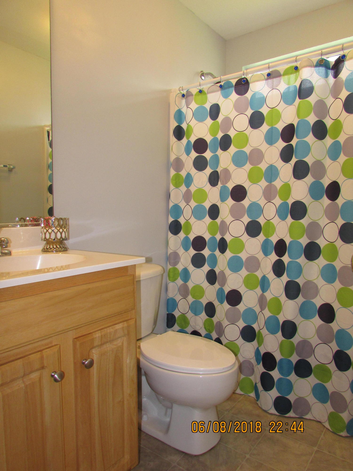 409 Meadowview Trail Summerville, SC 29486 - Photo 24 of 30 IMG_6438