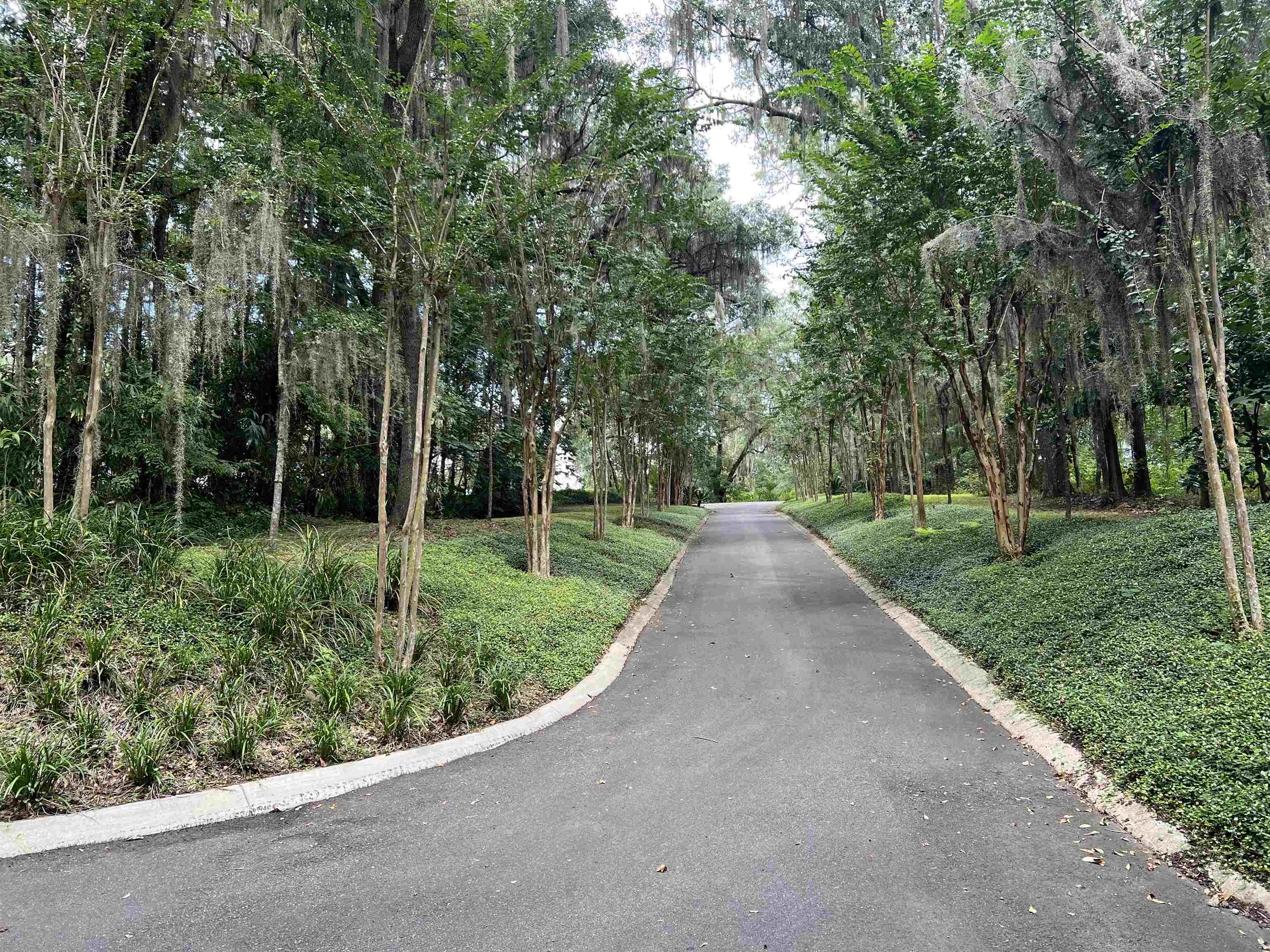 1901 Miller Landing Road Tallahassee, FL 32312 - Photo 41 of 42