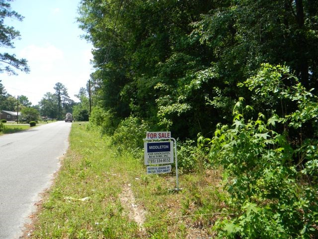 0 Rodney Road Orangeburg, SC 29115 - Photo 3 of 4 Photo 3