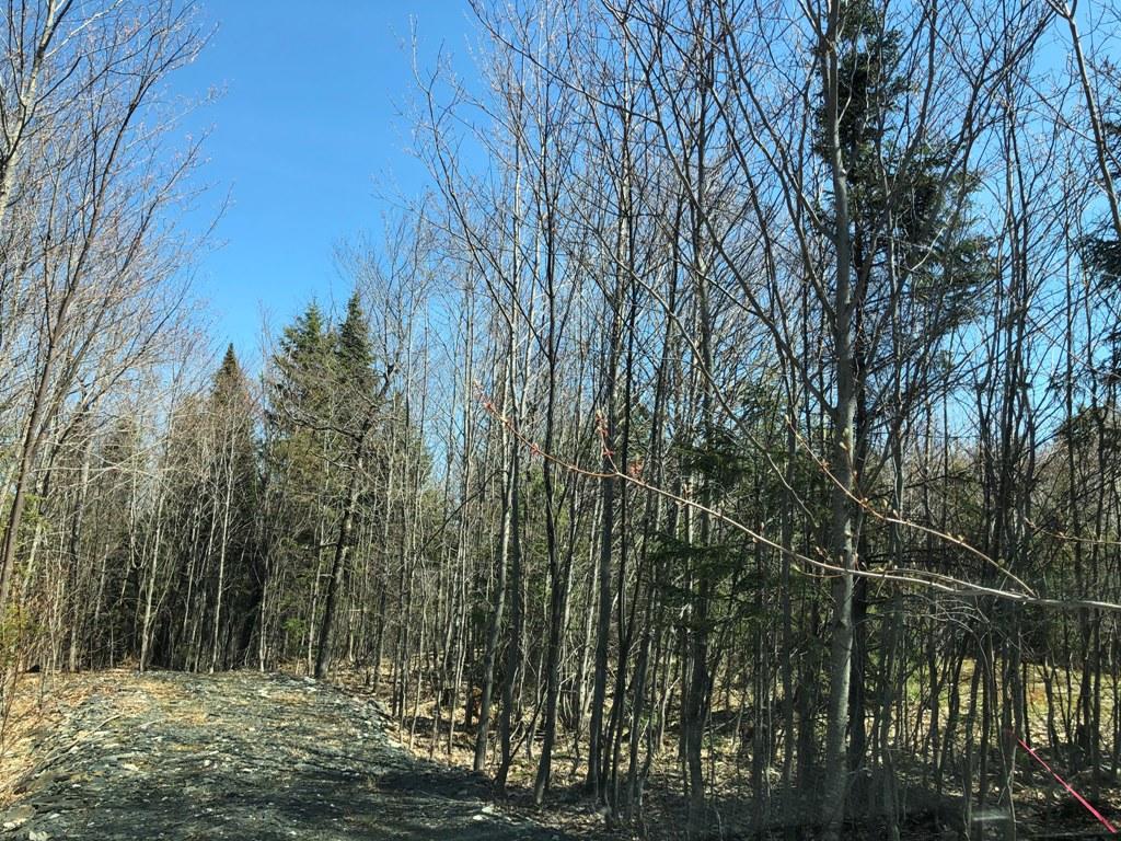 Lot 3 Alpine Ridge Greenville, ME 04441 - Photo 10 of 12 IMG_1643