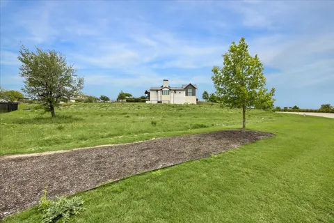 a view of a big yard with a large trees