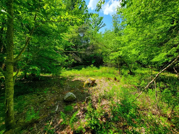 $379,900 | 280 Gorham Hill Road, Gorham, NH 03581