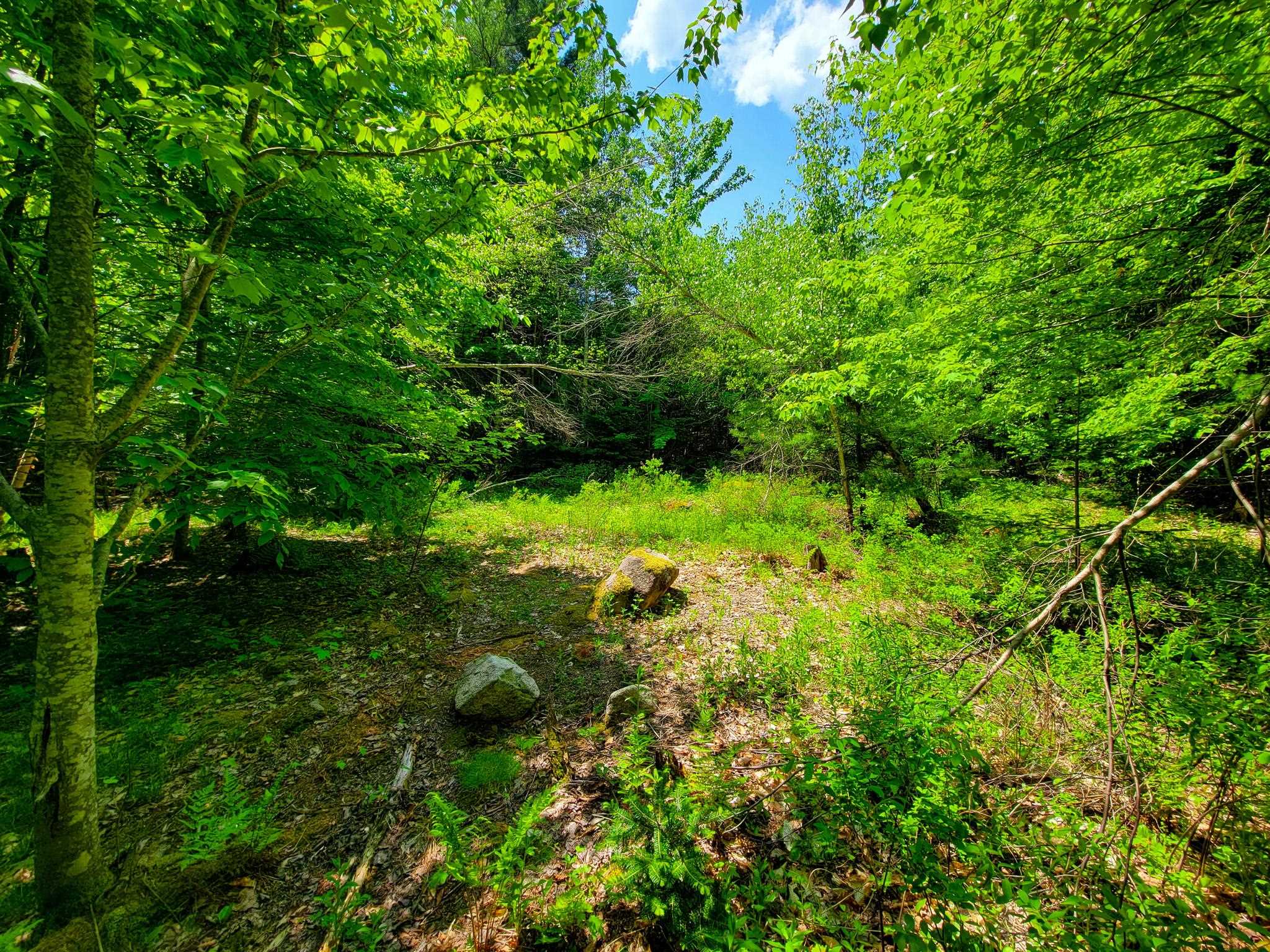 280 Gorham Hill Road Gorham, NH 03581 - Photo 34 of 49