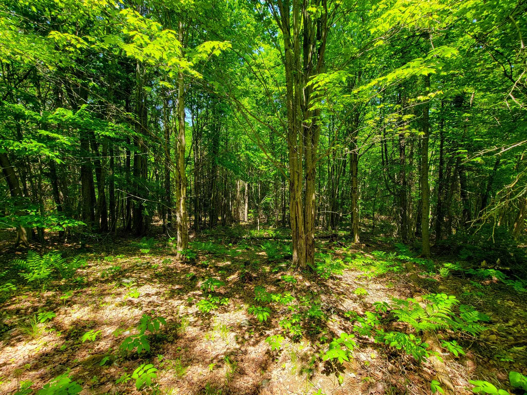 280 Gorham Hill Road Gorham, NH 03581 - Photo 37 of 49