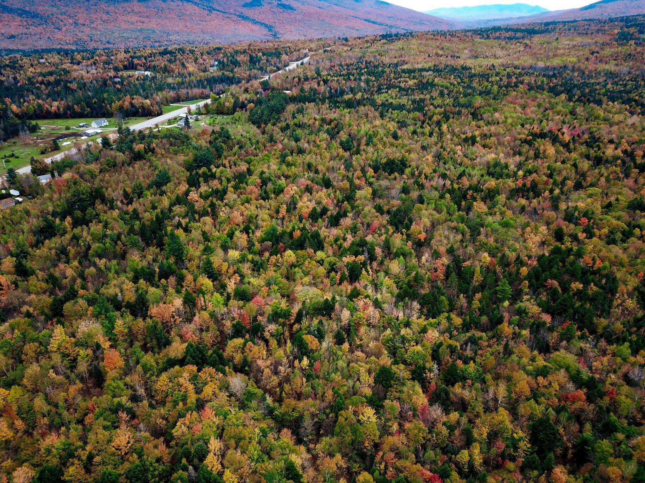 280 Gorham Hill Road Gorham, NH 03581 - Photo 40 of 49
