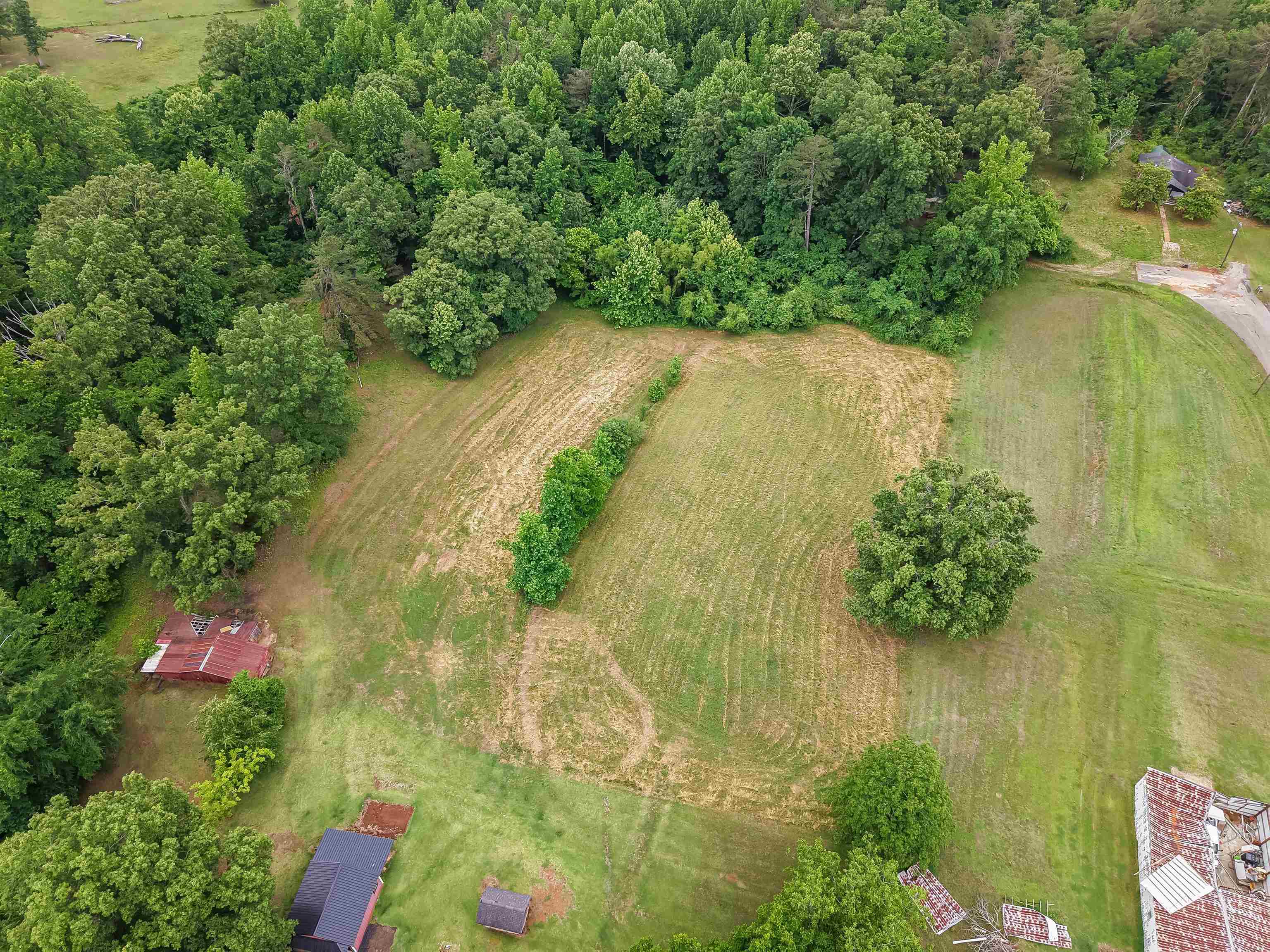 336 57th Highway West Ramer, TN 38367 - Photo 19 of 39 Expansive cleared land parcel with surrounding mature trees and natural landscape